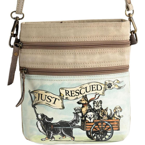 Double Zipper Just Rescued Crossbody