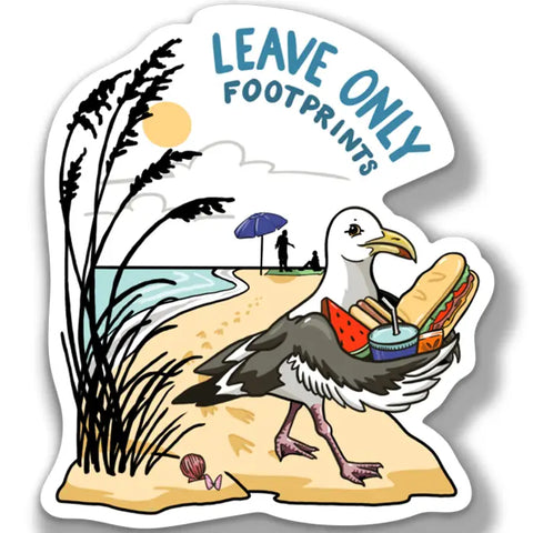 Leave Only Footprints Magnetic Decal